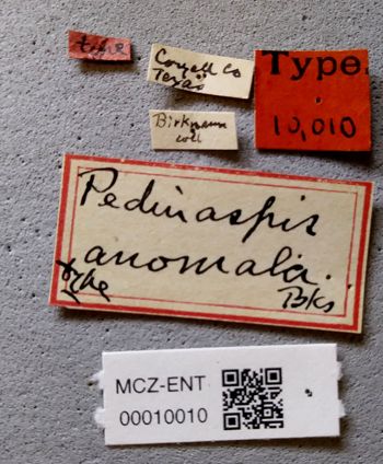 Media type: image;   Entomology 10010 Aspect: labels